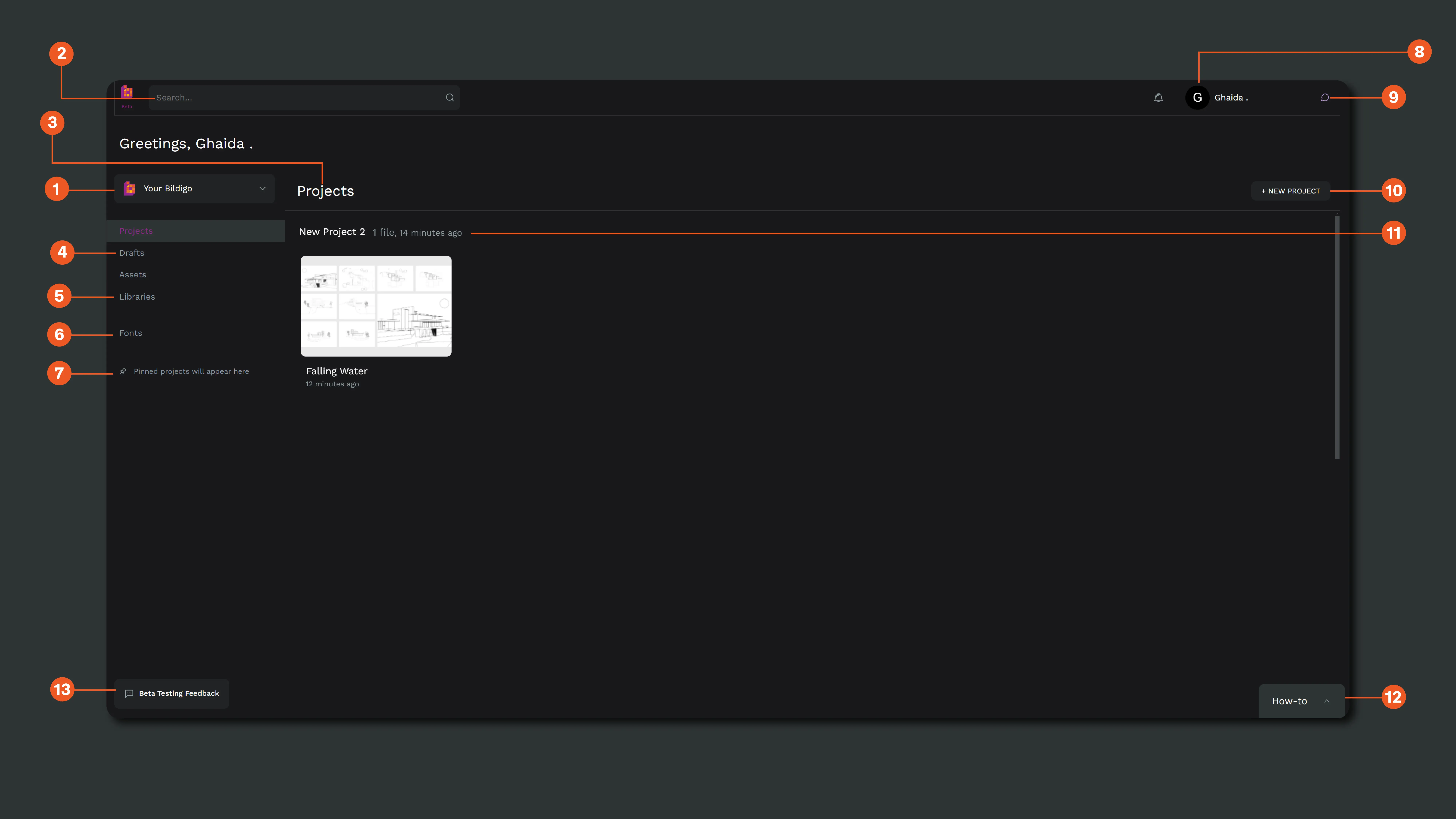 bildigo's dashboard